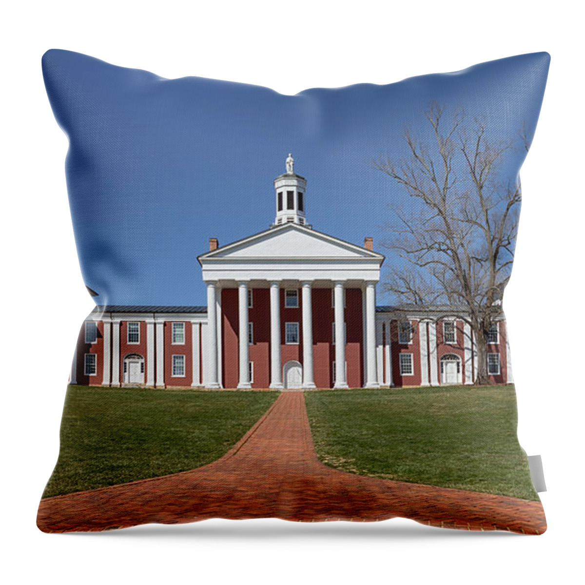 Washington And Lee University Throw Pillow featuring the photograph The Colonnade - Washington and Lee University by Susan Rissi Tregoning