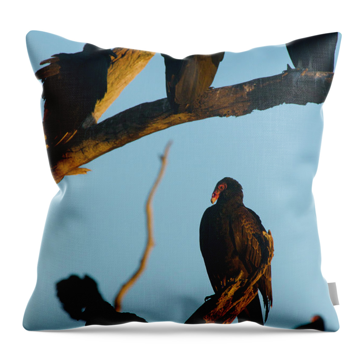 Animal Throw Pillow featuring the photograph The Committee by Melissa Southern