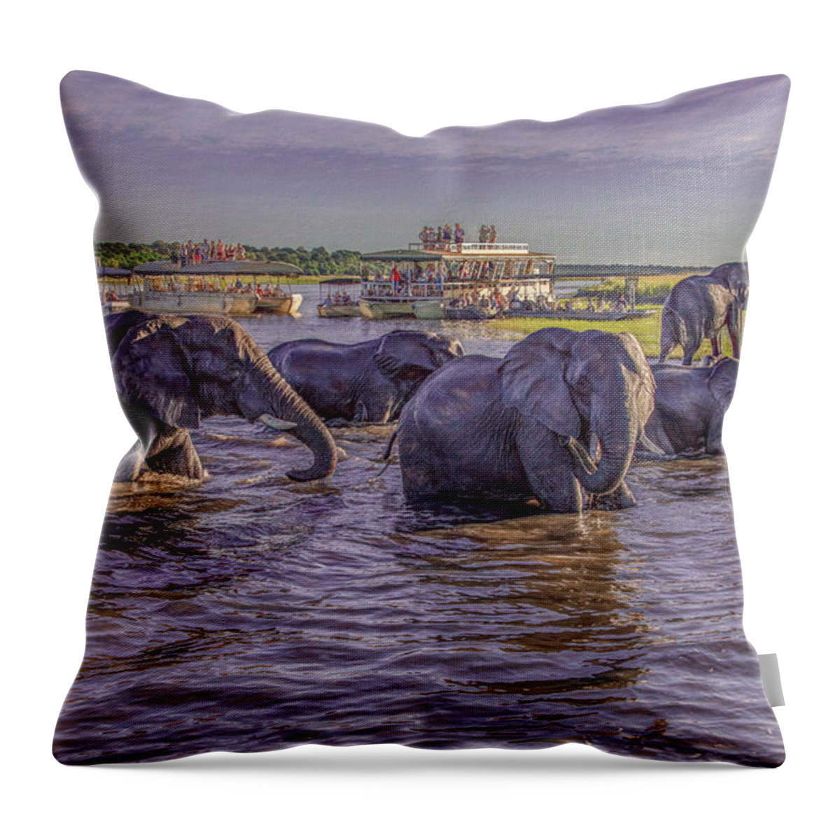 Chobe National Park Throw Pillow featuring the photograph The Crossing by Marcy Wielfaert