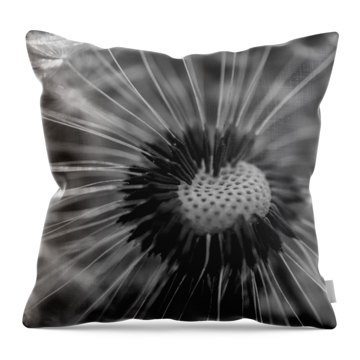 Landscape Throw Pillow featuring the photograph The dandelion by Jamie Tyler