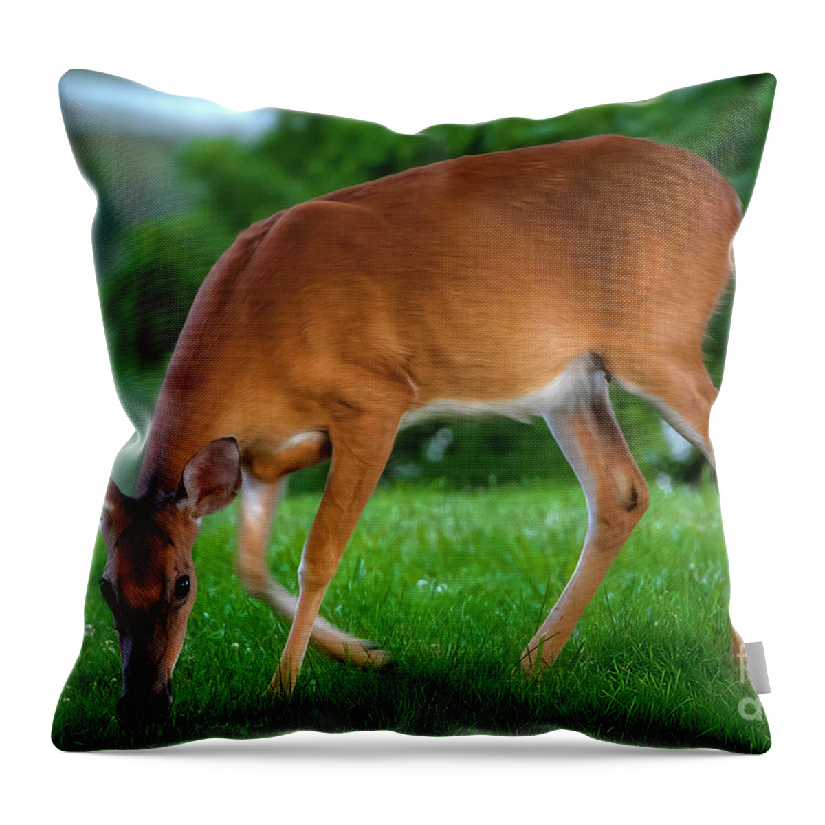 Deer Throw Pillow featuring the photograph The Deer by Shelia Hunt