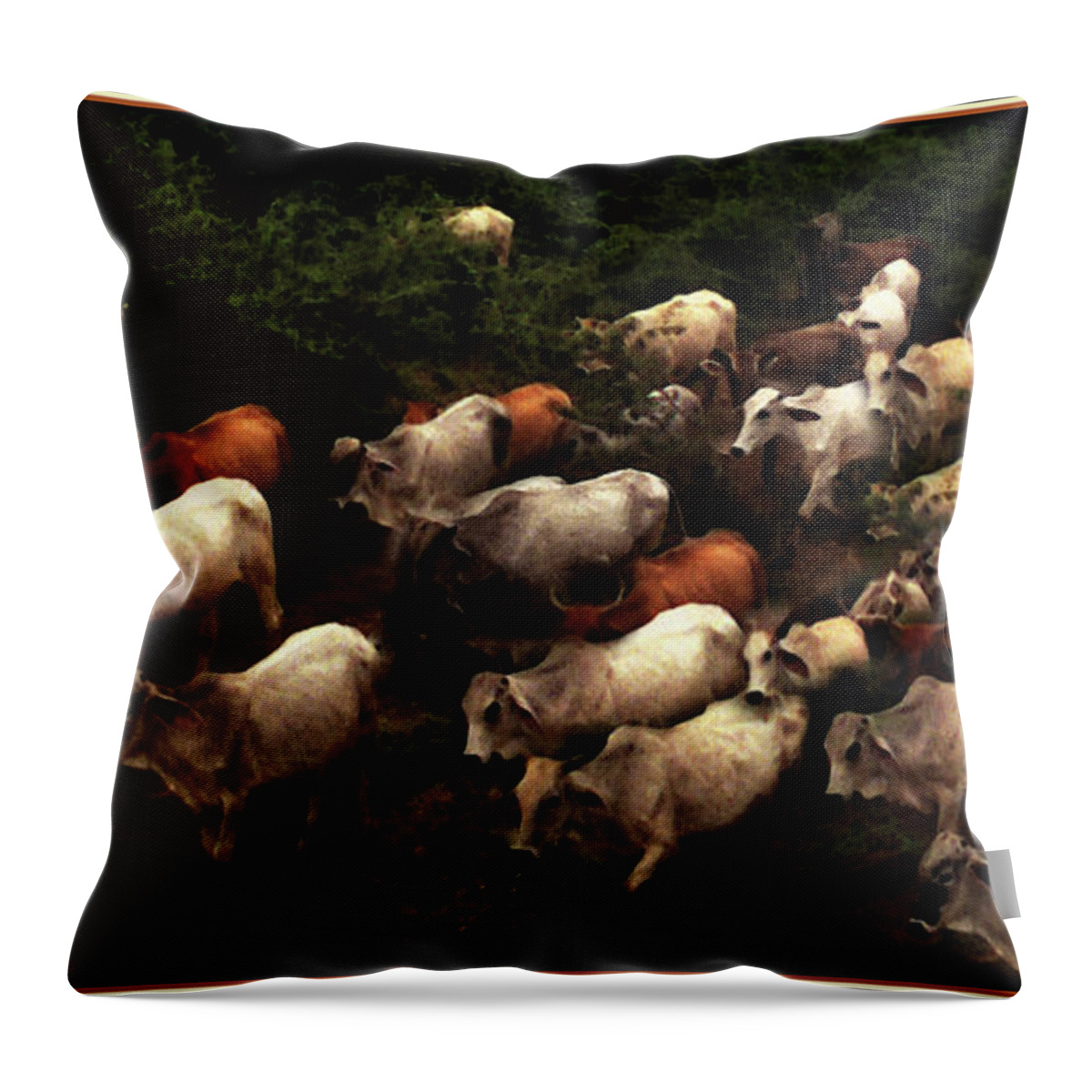 Cattle Throw Pillow featuring the photograph The Drive Home in Mexico by Wayne King