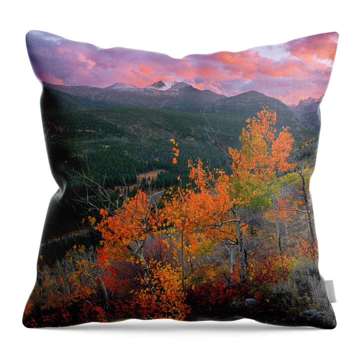 Longs Throw Pillow featuring the photograph The End of Autumn - Rocky Mountain National Park by Aaron Spong