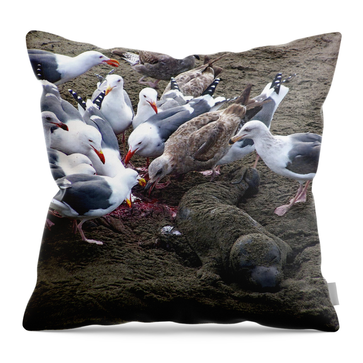 The Feast Throw Pillow featuring the photograph The Feast by Jennifer Robin
