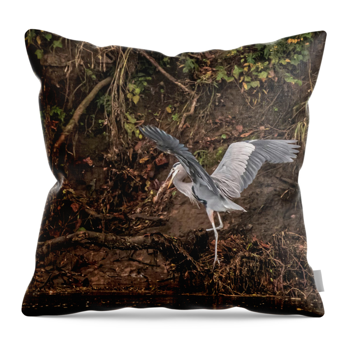 Heron Throw Pillow featuring the photograph The Fisherman by DArcy Evans