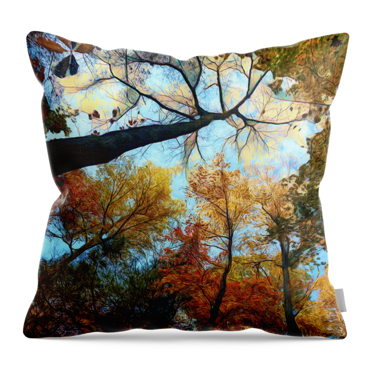 Clouds Throw Pillow featuring the photograph The Forest's Embrace Painting by Debra and Dave Vanderlaan