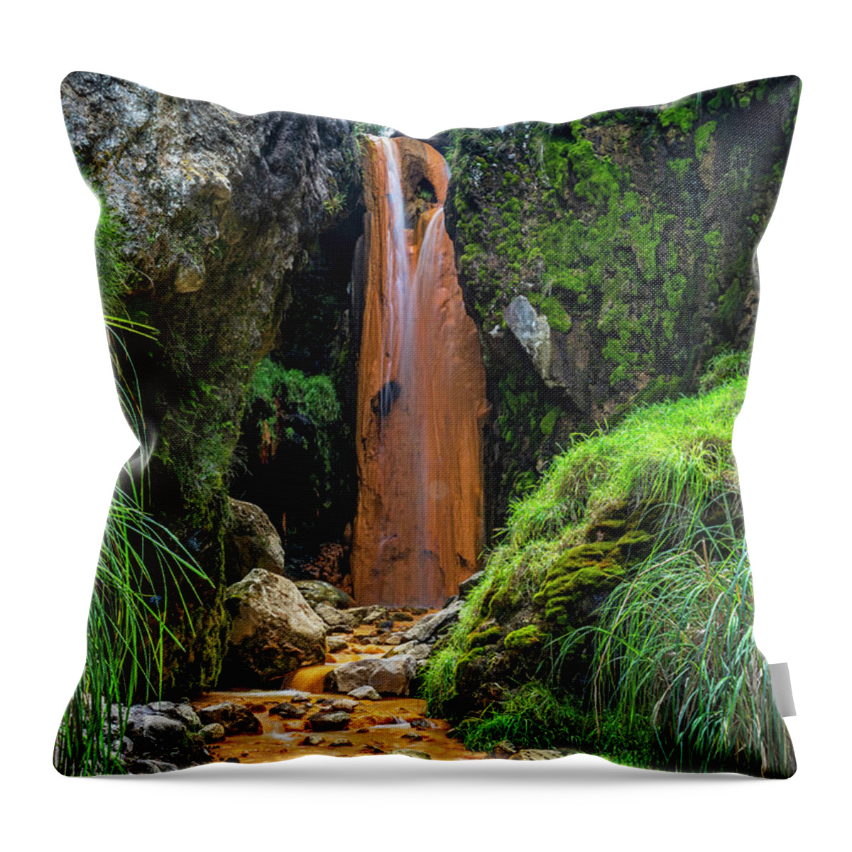 Andes Throw Pillow featuring the photograph The golden waterfall by Henri Leduc