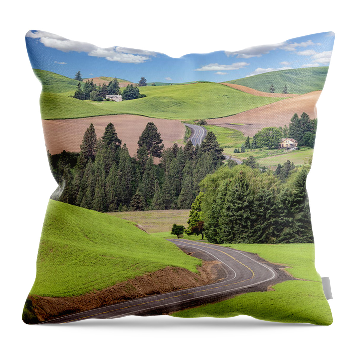 Agricultural Throw Pillow featuring the photograph The Highway by Manpreet Sokhi