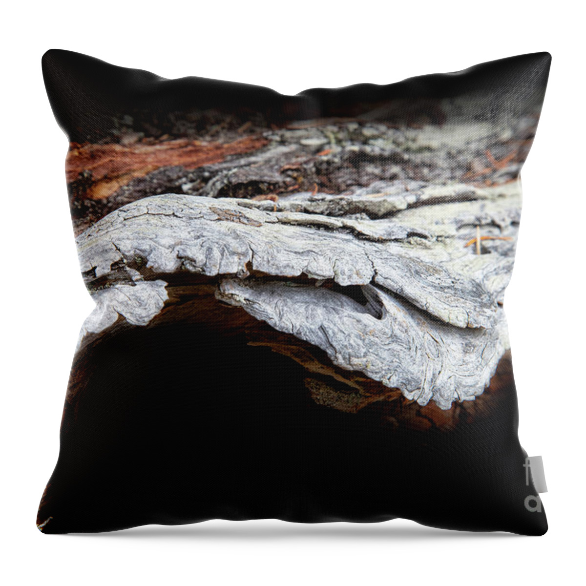 Abstracts Throw Pillow featuring the photograph The Journey by Marilyn Cornwell