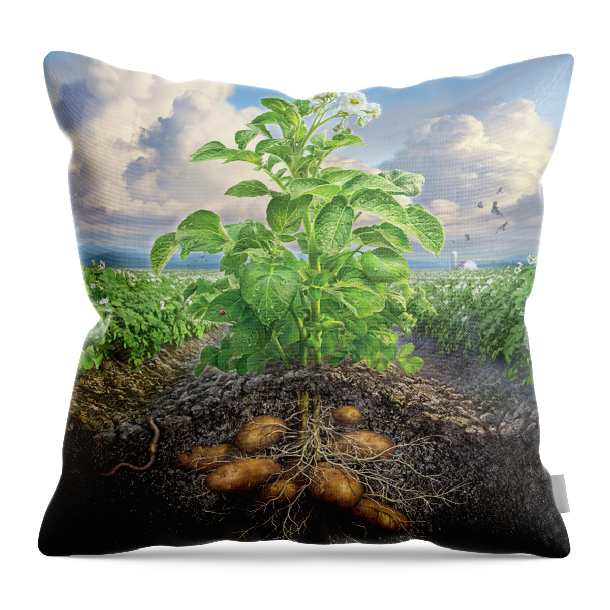 Potato Throw Pillow featuring the digital art The Mighty Russet by Mark Fredrickson
