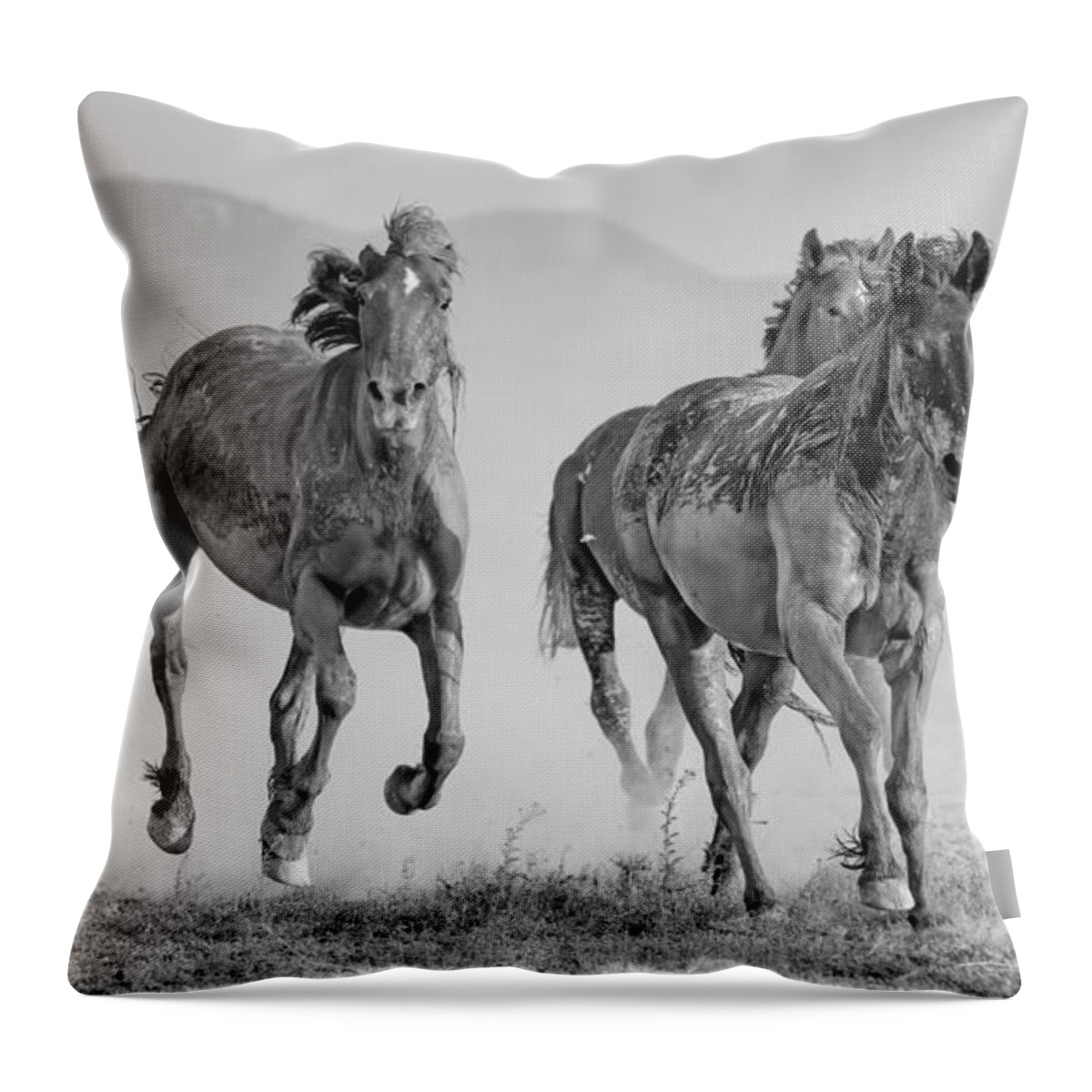 Stallion Throw Pillow featuring the photograph The Muddy Marauders. by Paul Martin