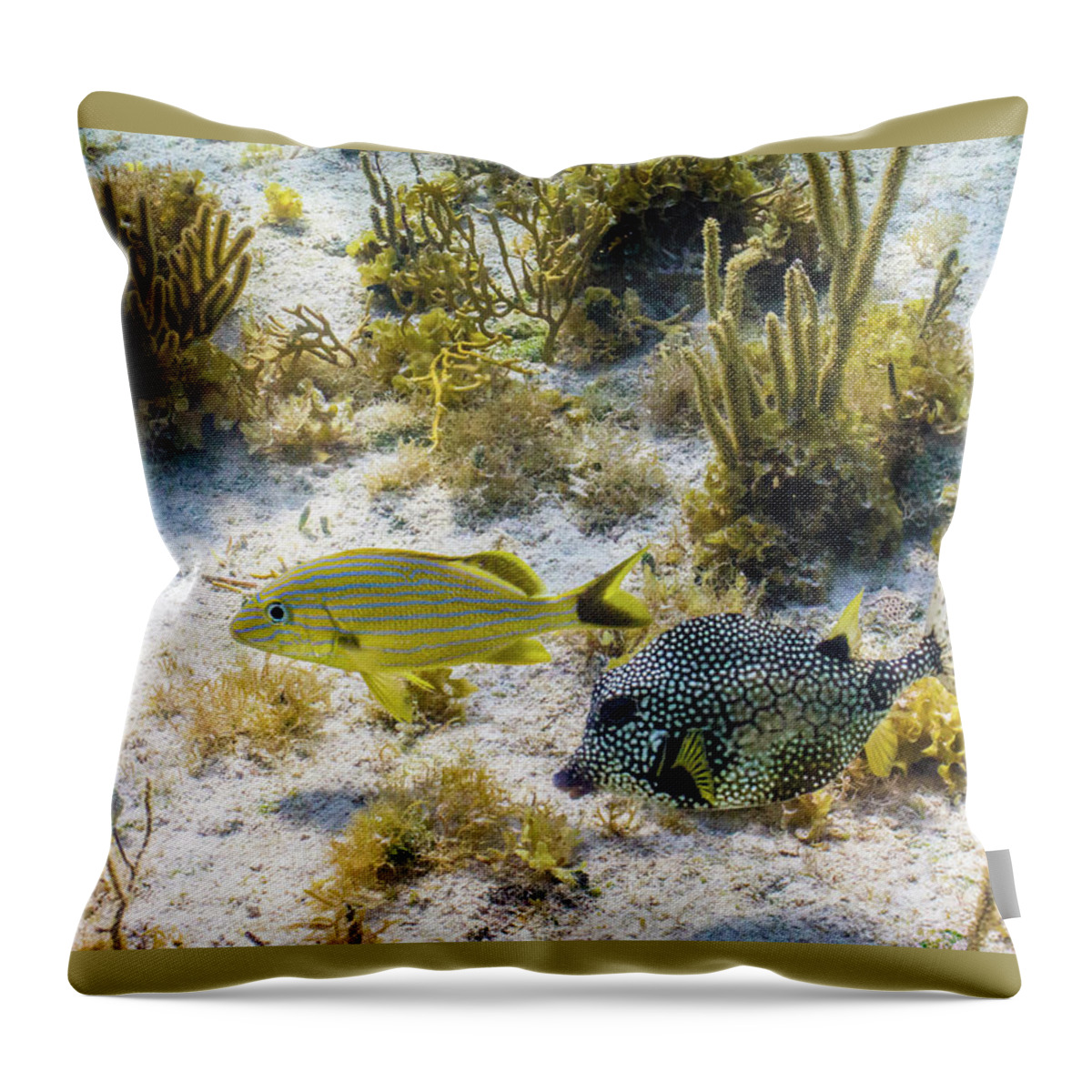 Animals Throw Pillow featuring the photograph The Odd Couple by Lynne Browne
