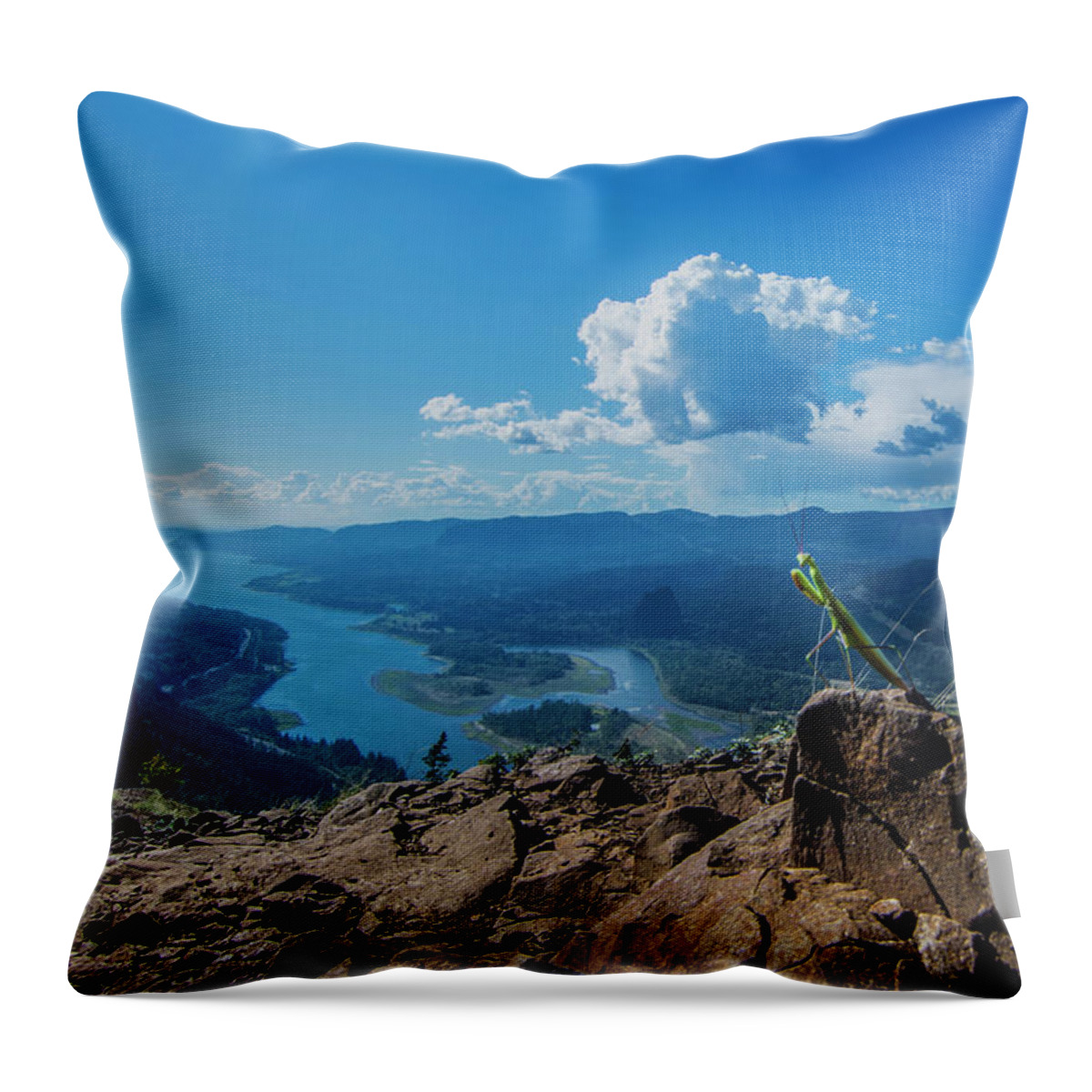 Animal Throw Pillow featuring the photograph The Praying Mantis of Munra Point by Pelo Blanco Photo