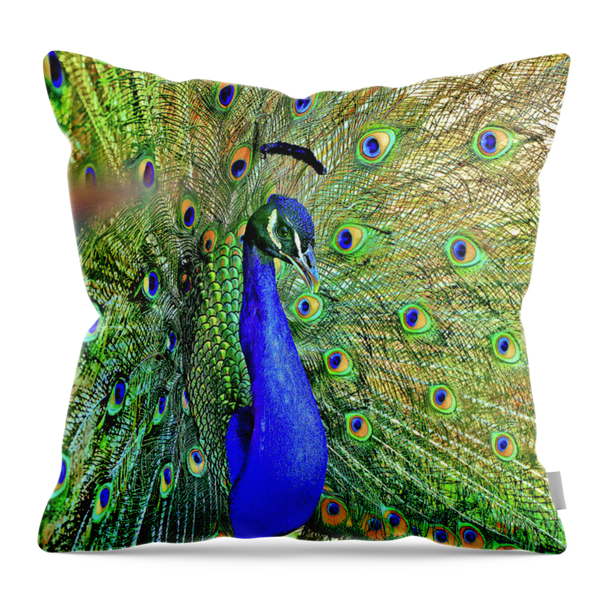 Peacock Feathers Throw Pillow featuring the photograph The Prince by Az Jackson
