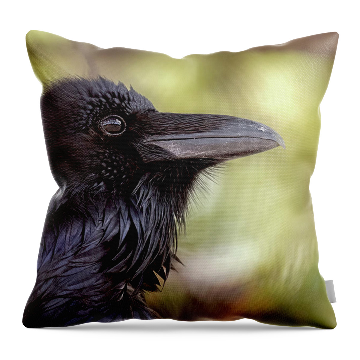Raven Throw Pillow featuring the photograph The Raven. by Paul Martin