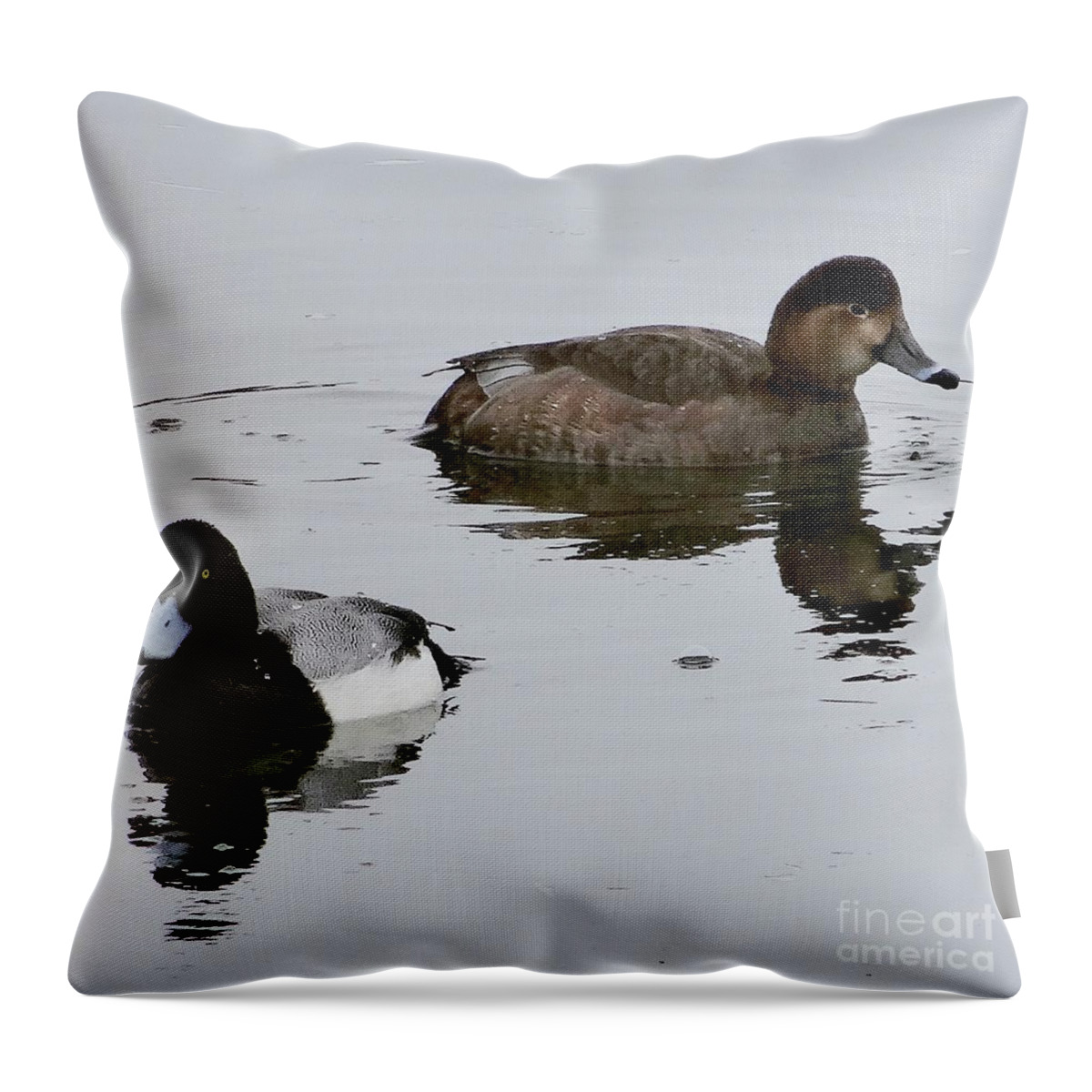 Wildlife Throw Pillow featuring the photograph The Red and the Black by Christopher Plummer