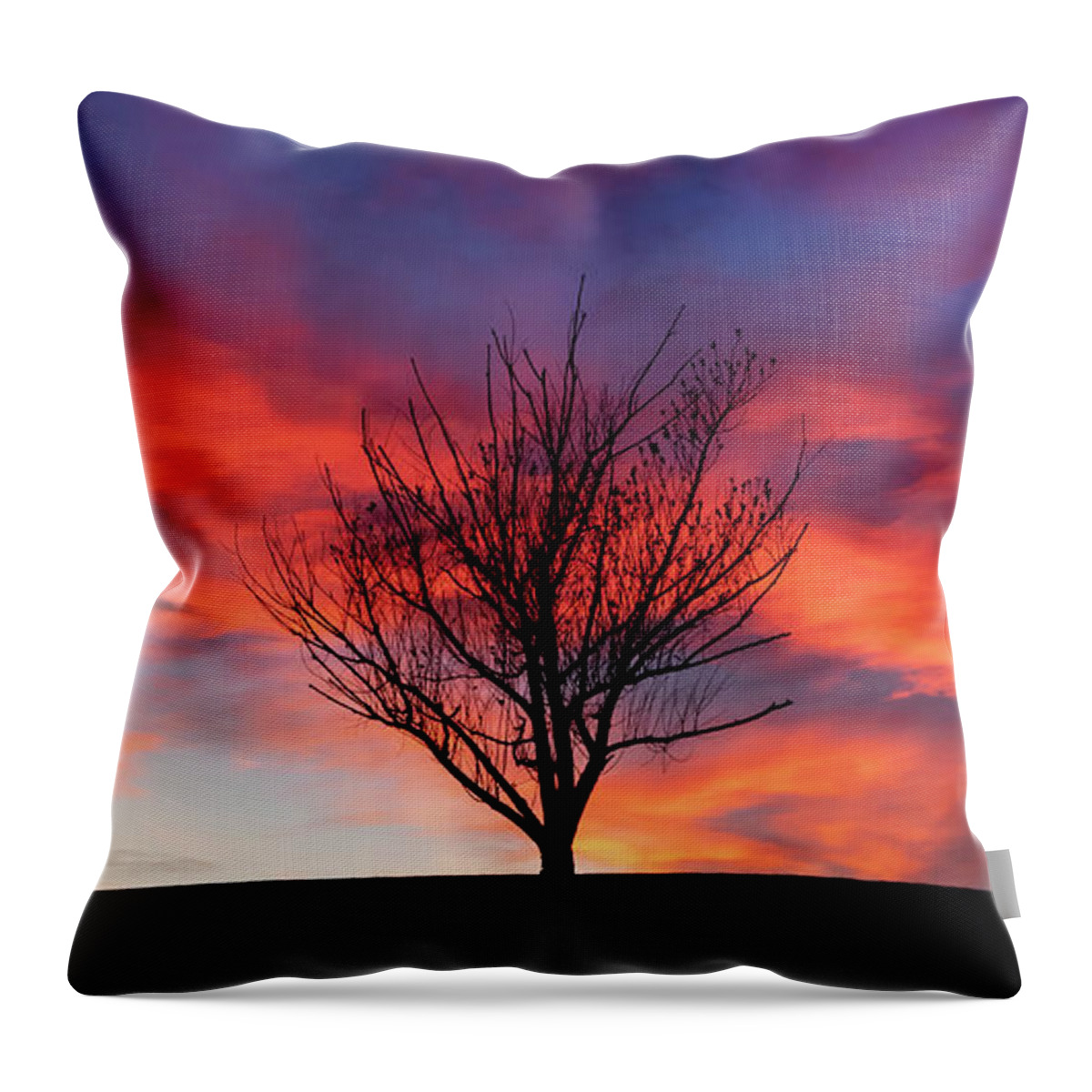 Bare Throw Pillow featuring the photograph The Lone Tree by Manpreet Sokhi
