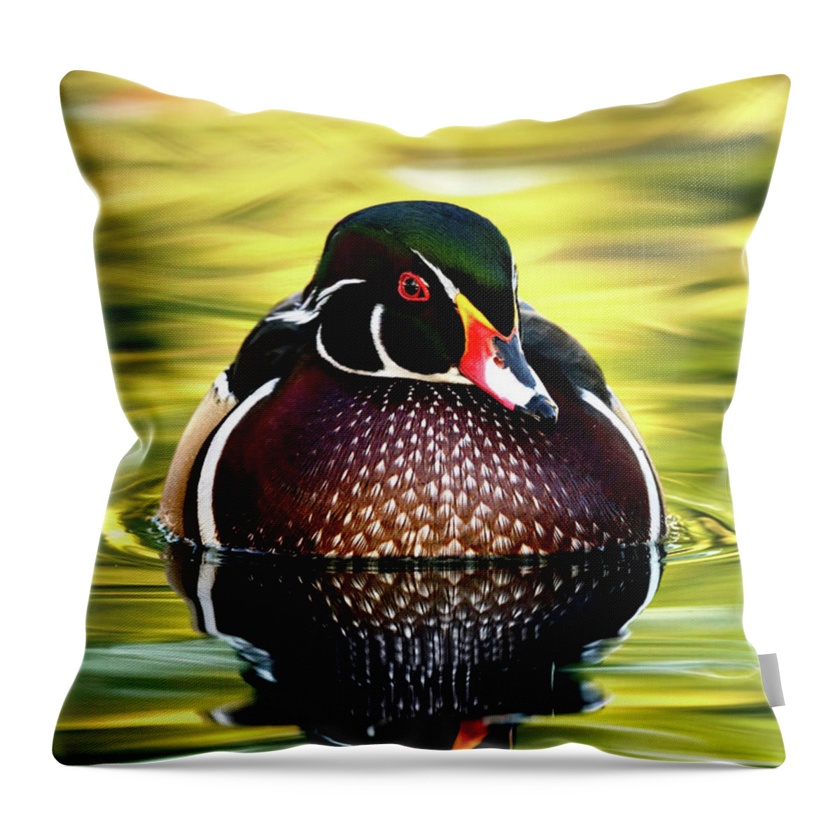 Wood Duck Throw Pillow featuring the photograph The stunning wood duck. by Paul Martin
