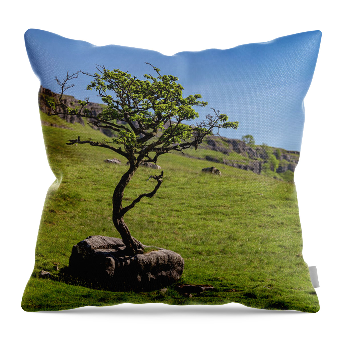 England Throw Pillow featuring the photograph The Tree In The Rock by Tom Holmes Photography