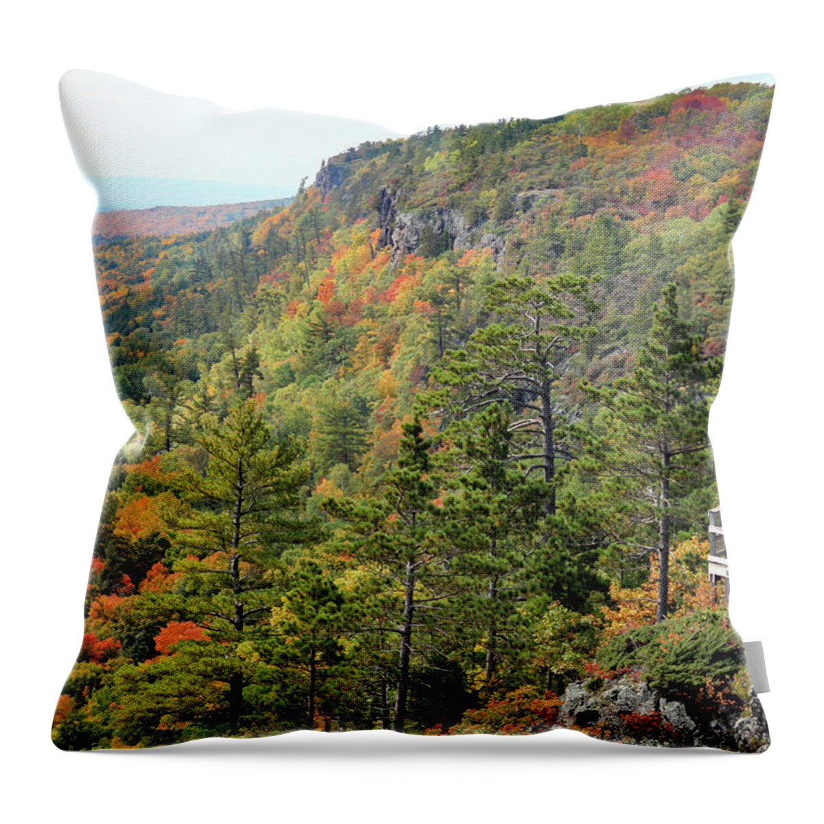 Porcupine Mountains Wilderness State Park Throw Pillow featuring the photograph The Viewing Platform by Robert Carter