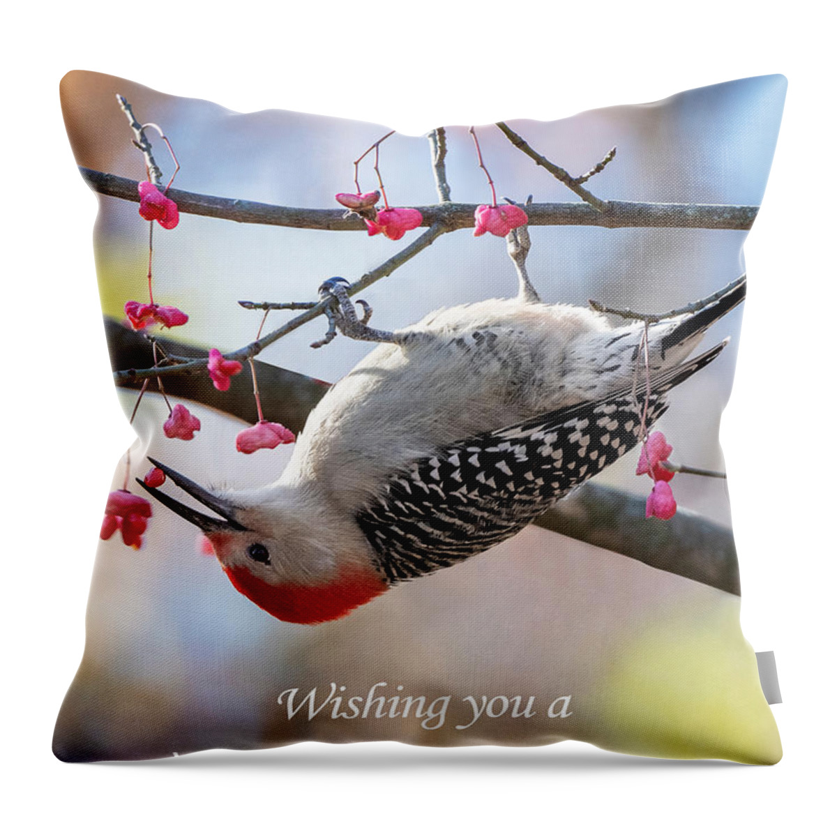Red Bellied Woodpecker Throw Pillow featuring the photograph The Warmest of Wises to you, and a Very Berry Day from the Red-bellied Woodpecker on the Wahoo Tree. by Sandra Rust