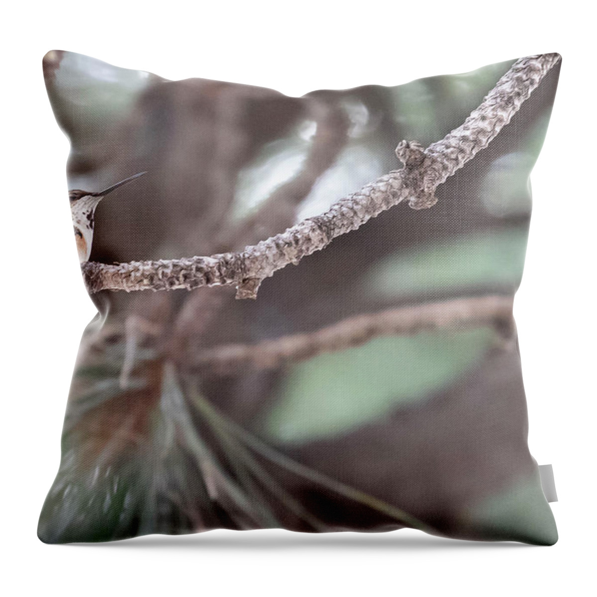 Hummingbird Throw Pillow featuring the photograph The Watcher by Laura Putman