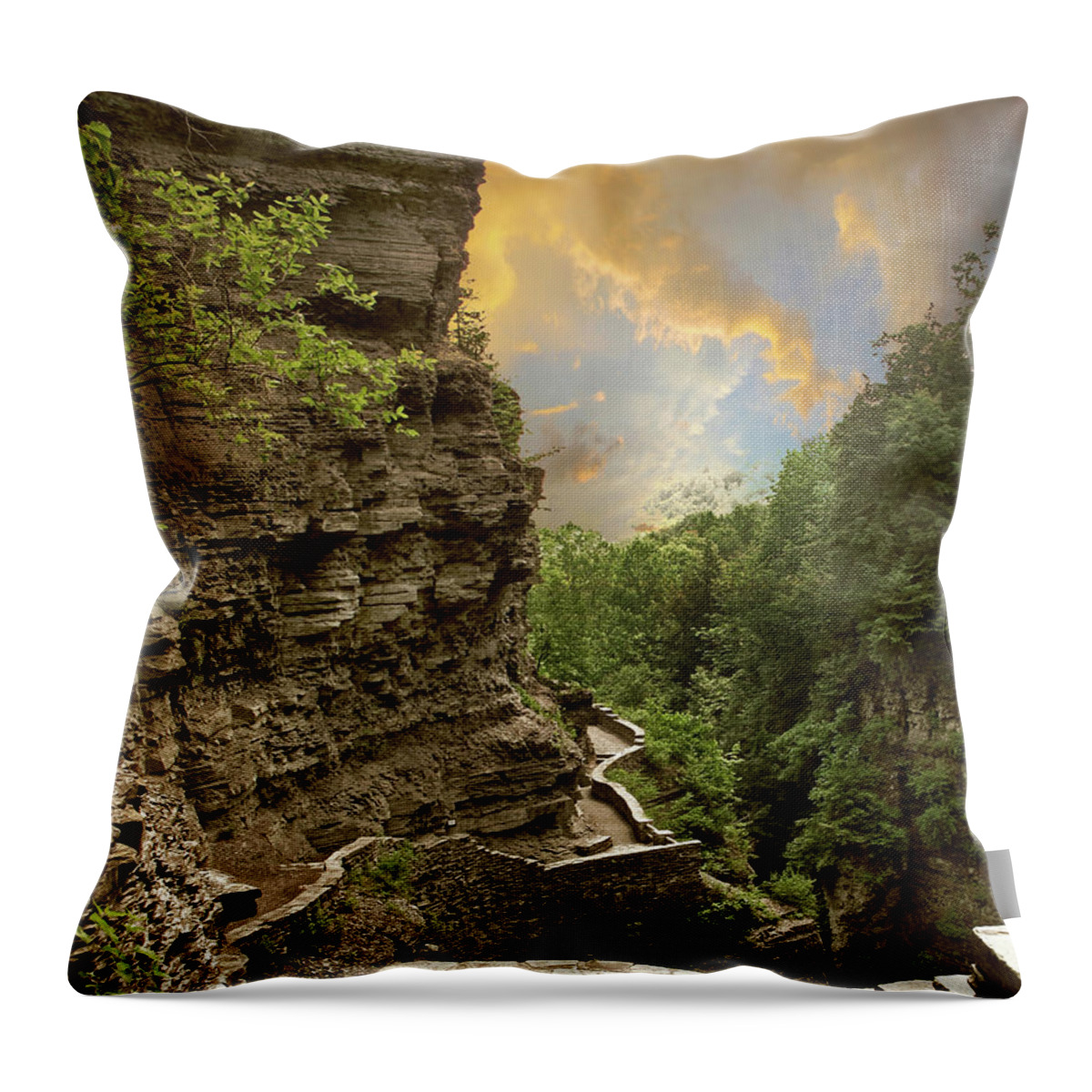 Nature Throw Pillow featuring the photograph The Winding Trail by Jessica Jenney