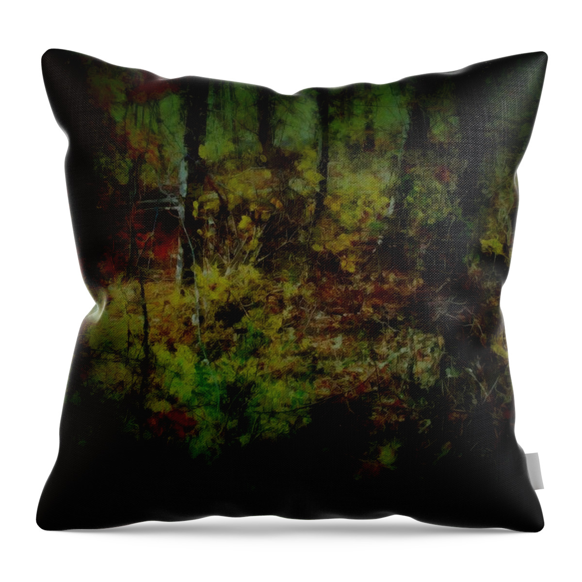 Woods Throw Pillow featuring the mixed media The Woods in October by Christopher Reed
