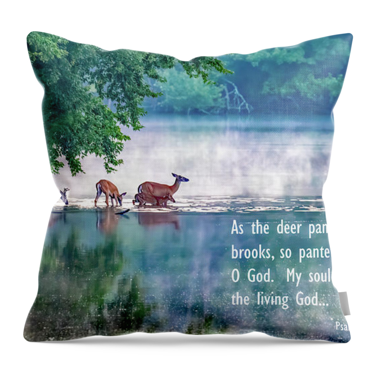 Deer Throw Pillow featuring the photograph Thirsty for More Than Water by Marcy Wielfaert