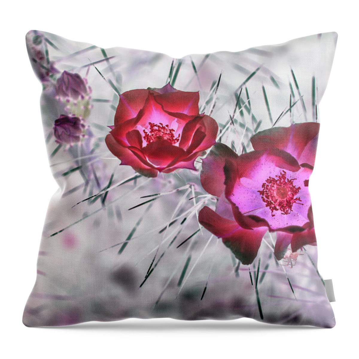 Cactus Throw Pillow featuring the photograph Thorny Situation in Red by Missy Joy