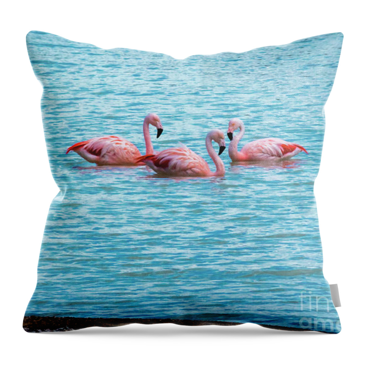 Flamingo Throw Pillow featuring the photograph Three flamingos on the Laguna Amarga by Lyl Dil Creations
