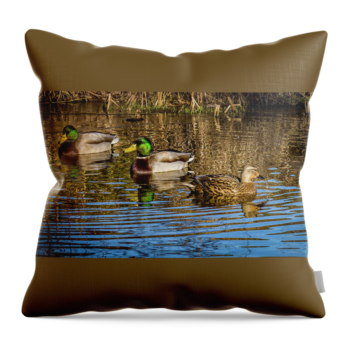 Birds Throw Pillow featuring the photograph Three Mallard ducks chilling out by Louis Dallara