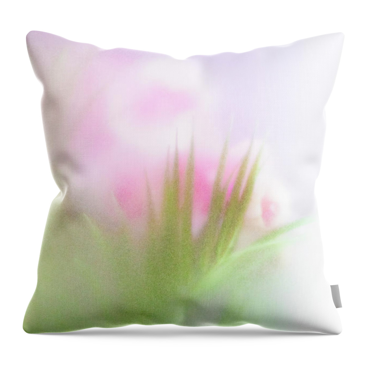 Through A Glass Lightly Throw Pillow featuring the photograph Through a Glass Lightly by Patty Colabuono