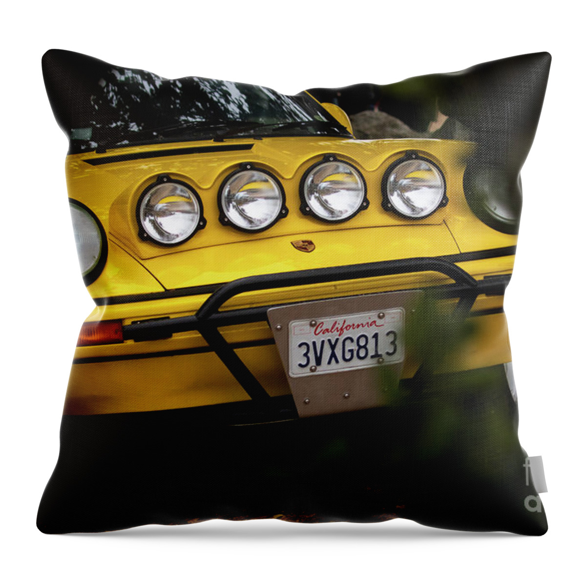  Throw Pillow featuring the photograph Through the Trees by Vincent Bonafede