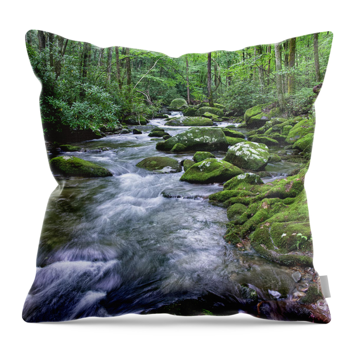 Smoky Mountains Throw Pillow featuring the photograph Thunderhead Prong 15 by Phil Perkins
