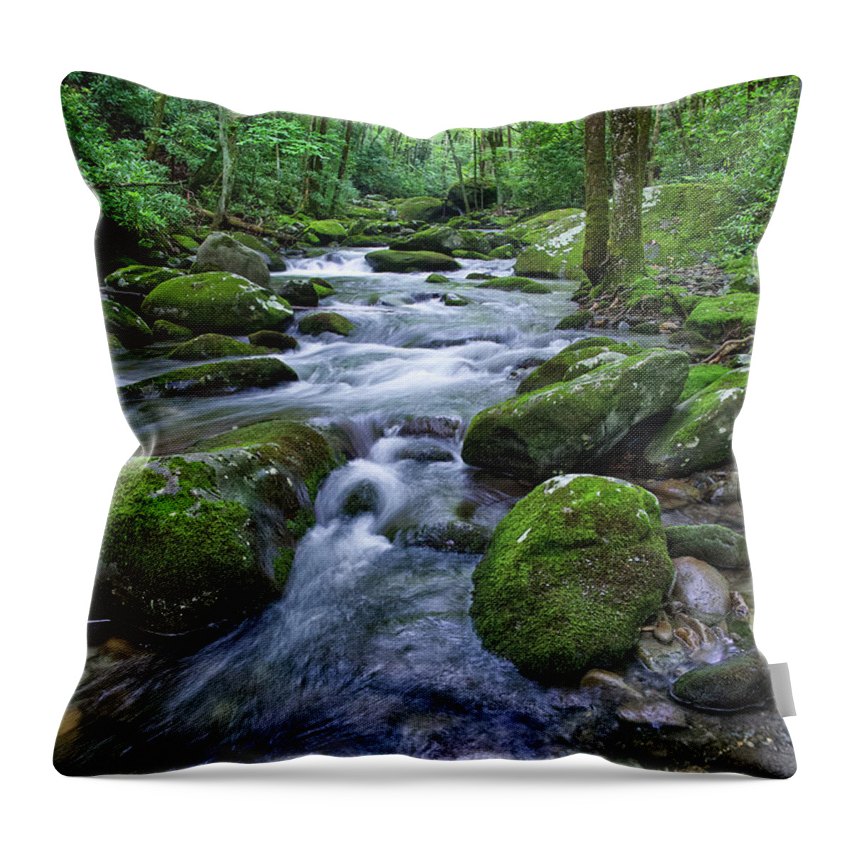 Smoky Mountains Throw Pillow featuring the photograph Thunderhead Prong 17 by Phil Perkins