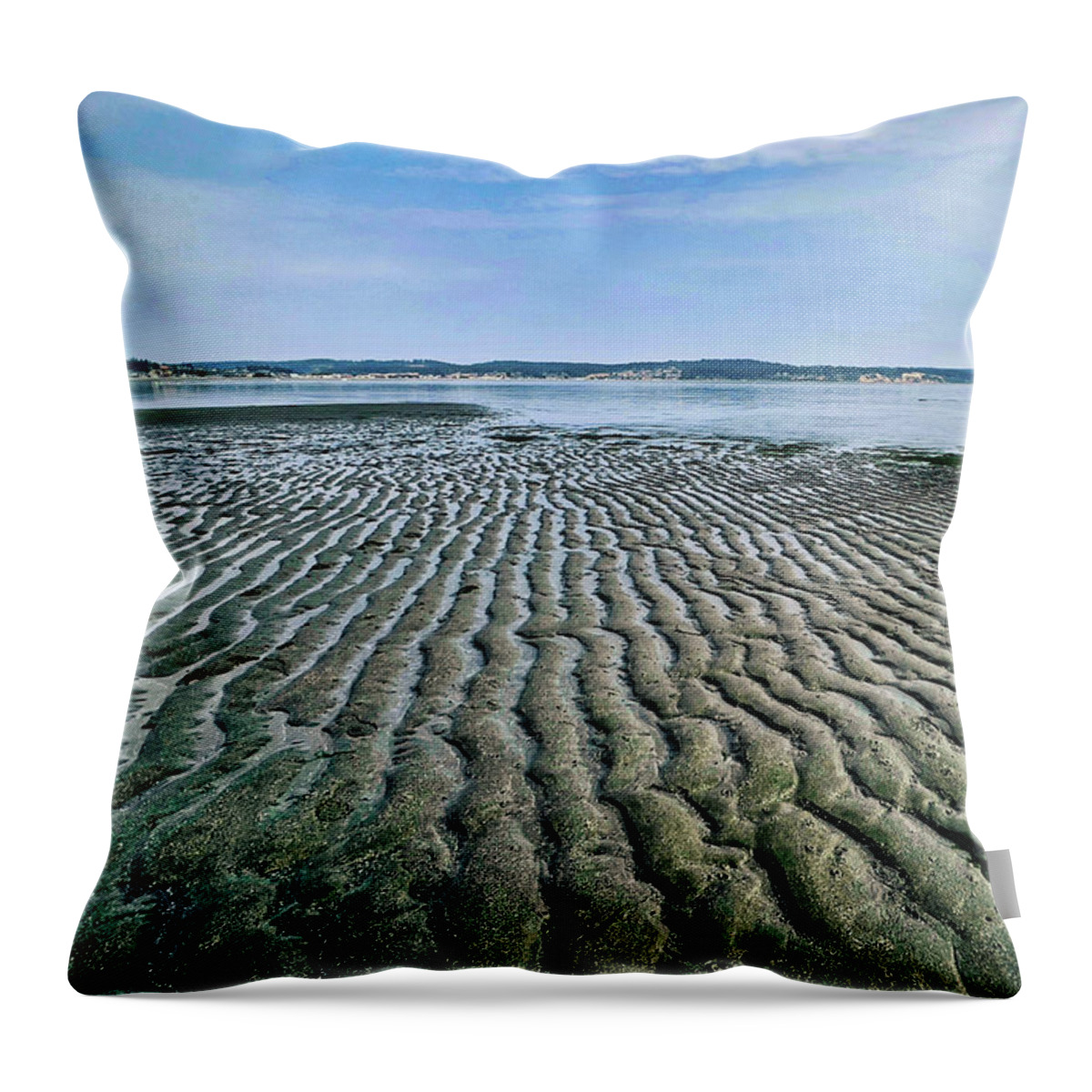 Beach Throw Pillow featuring the photograph Tide rivulets by Bradley Morris