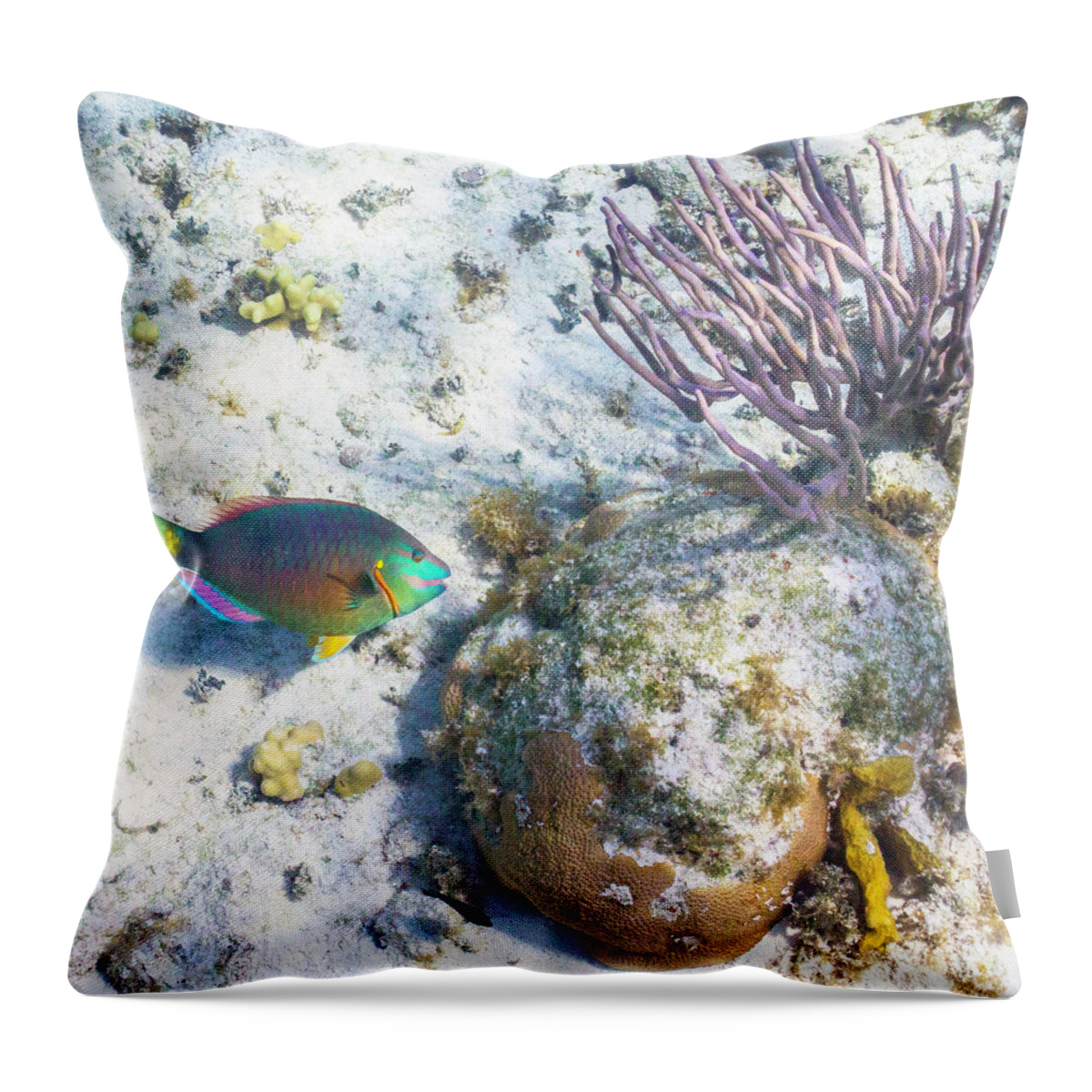 Animals Throw Pillow featuring the photograph Time to Make the Sand by Lynne Browne