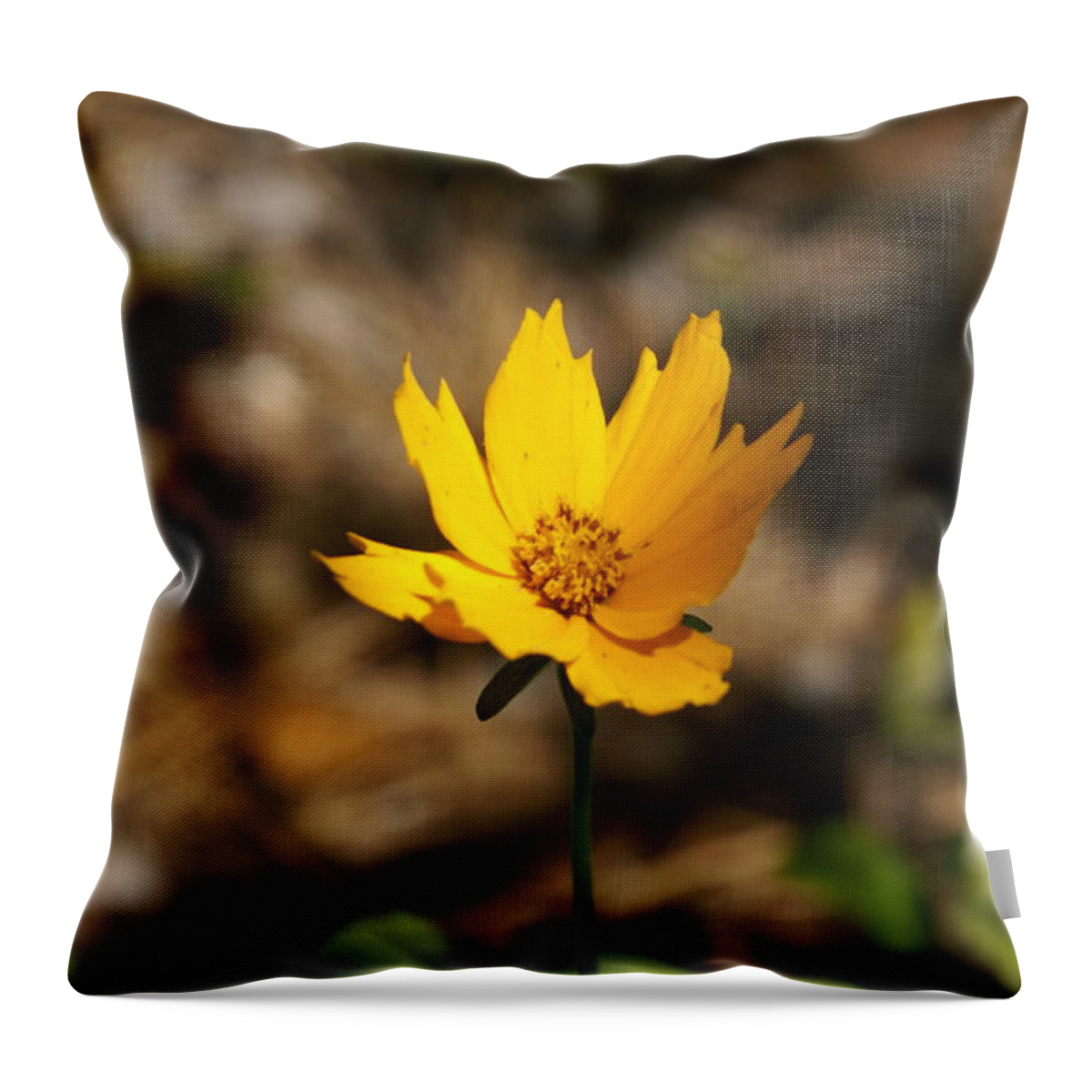  Throw Pillow featuring the photograph Tiny Bloom by Heather E Harman