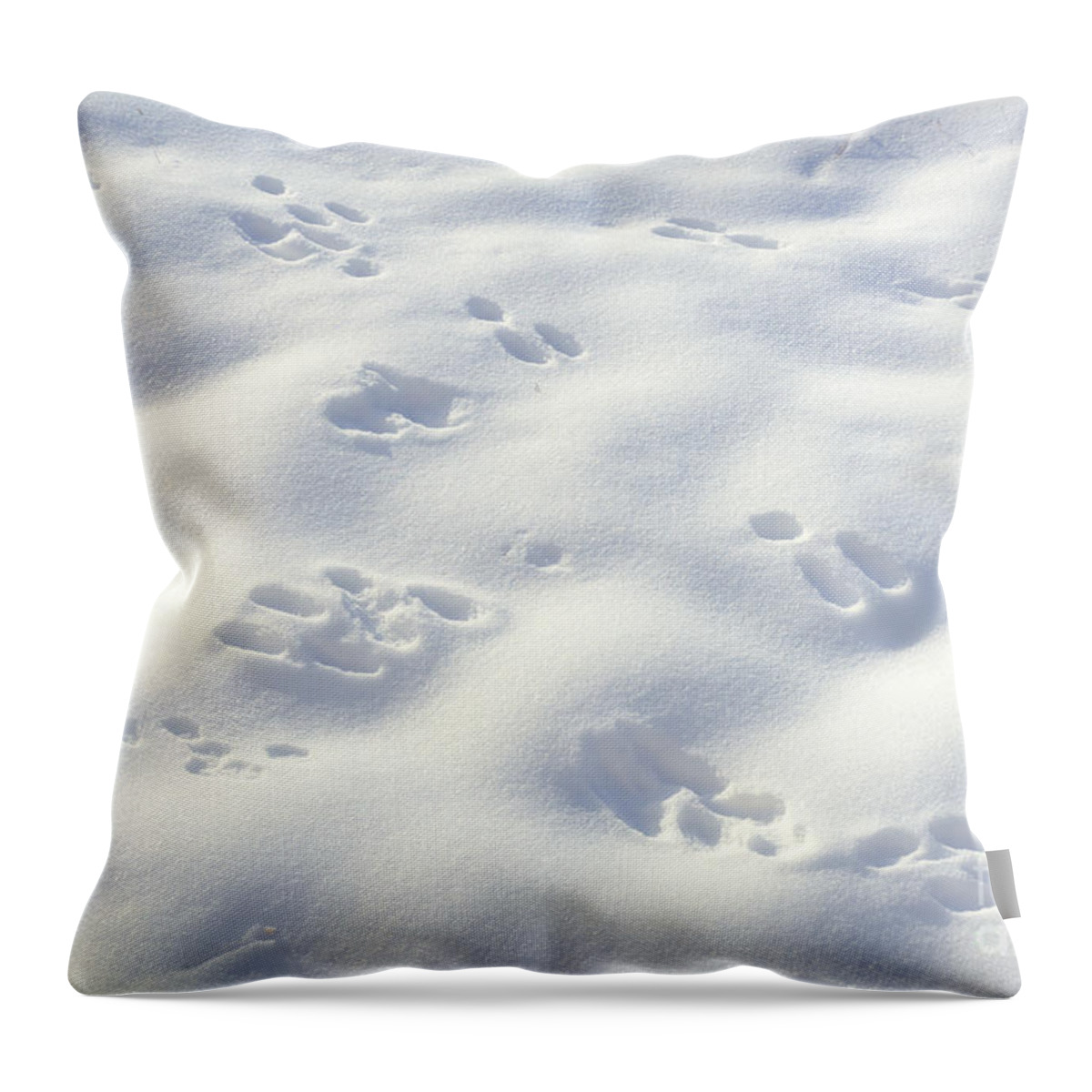 Snow Throw Pillow featuring the photograph Tracks and Shadows by Kae Cheatham