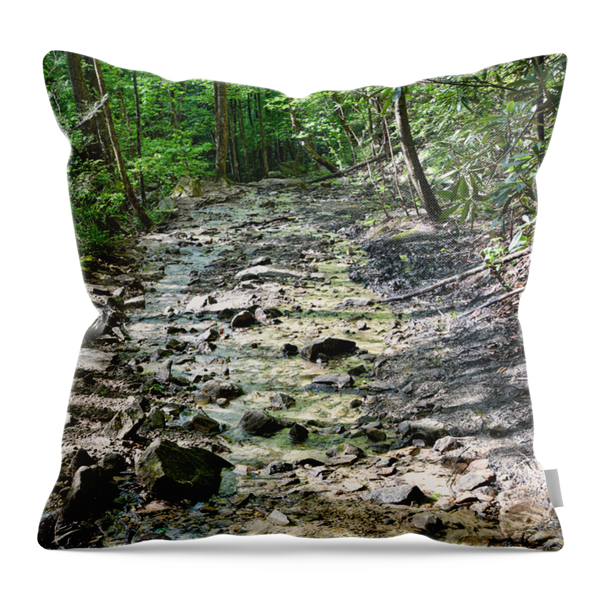Trail Throw Pillow featuring the photograph Trail Is A Creek by Phil Perkins
