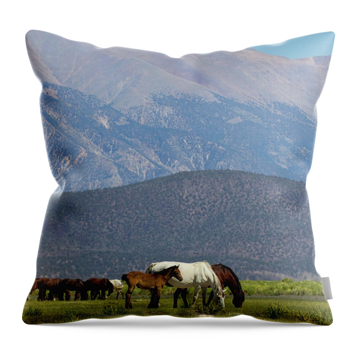 Eastern Sierra Throw Pillow featuring the photograph Tranquility in the Meadow II by Cheryl Strahl