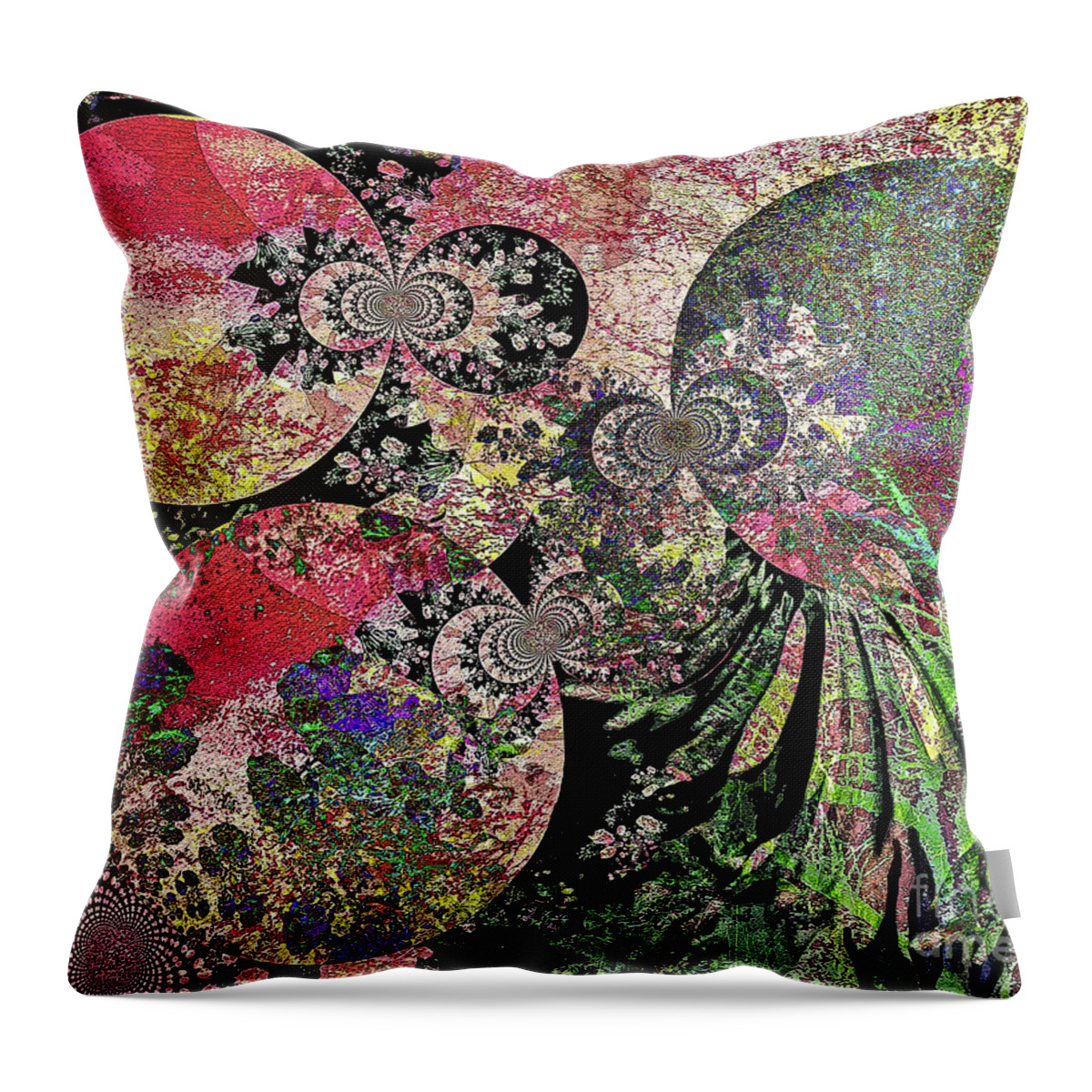 Shara Abel Throw Pillow featuring the photograph Transformation by Shara Abel
