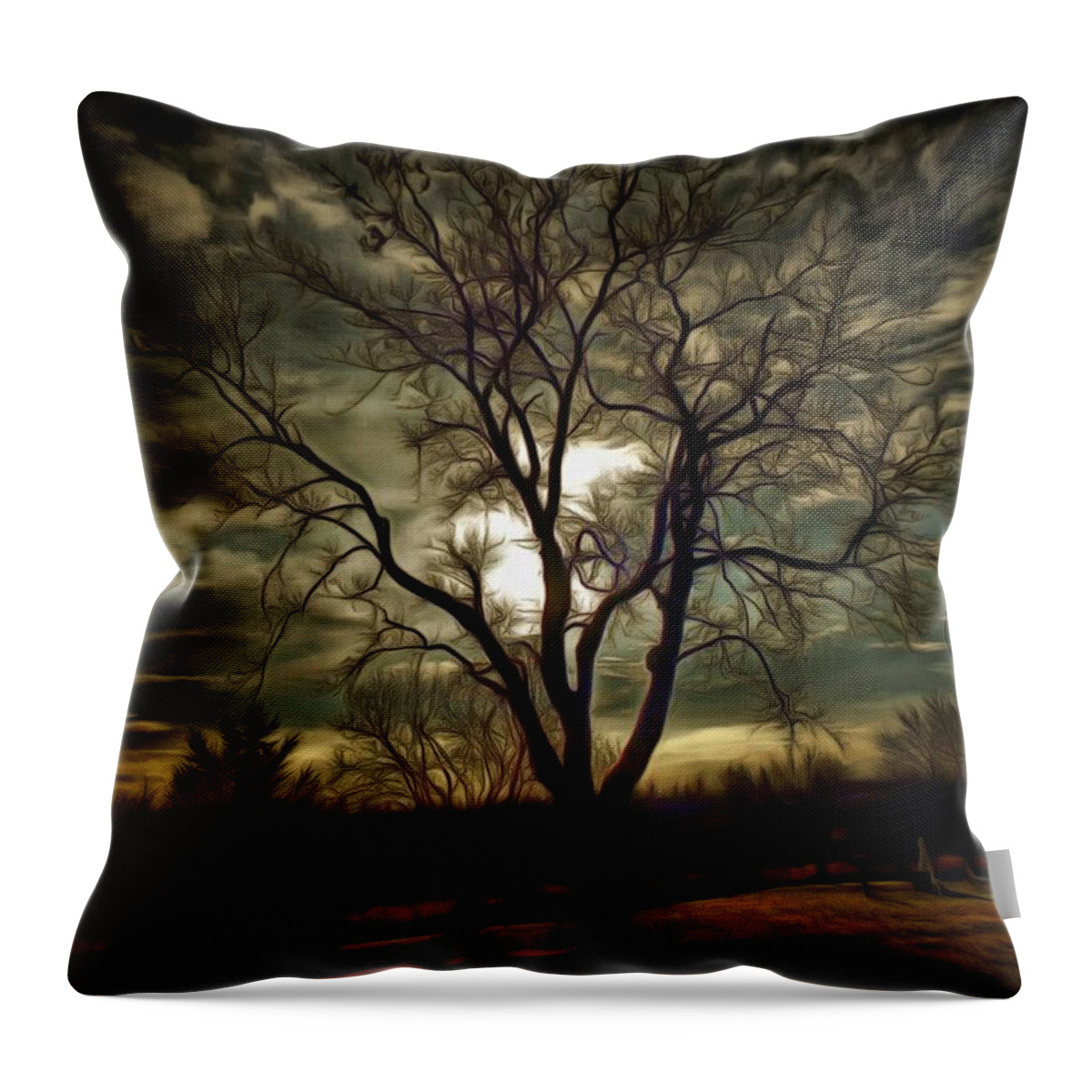 Tree Throw Pillow featuring the photograph Tree at Sunset by Christopher Reed