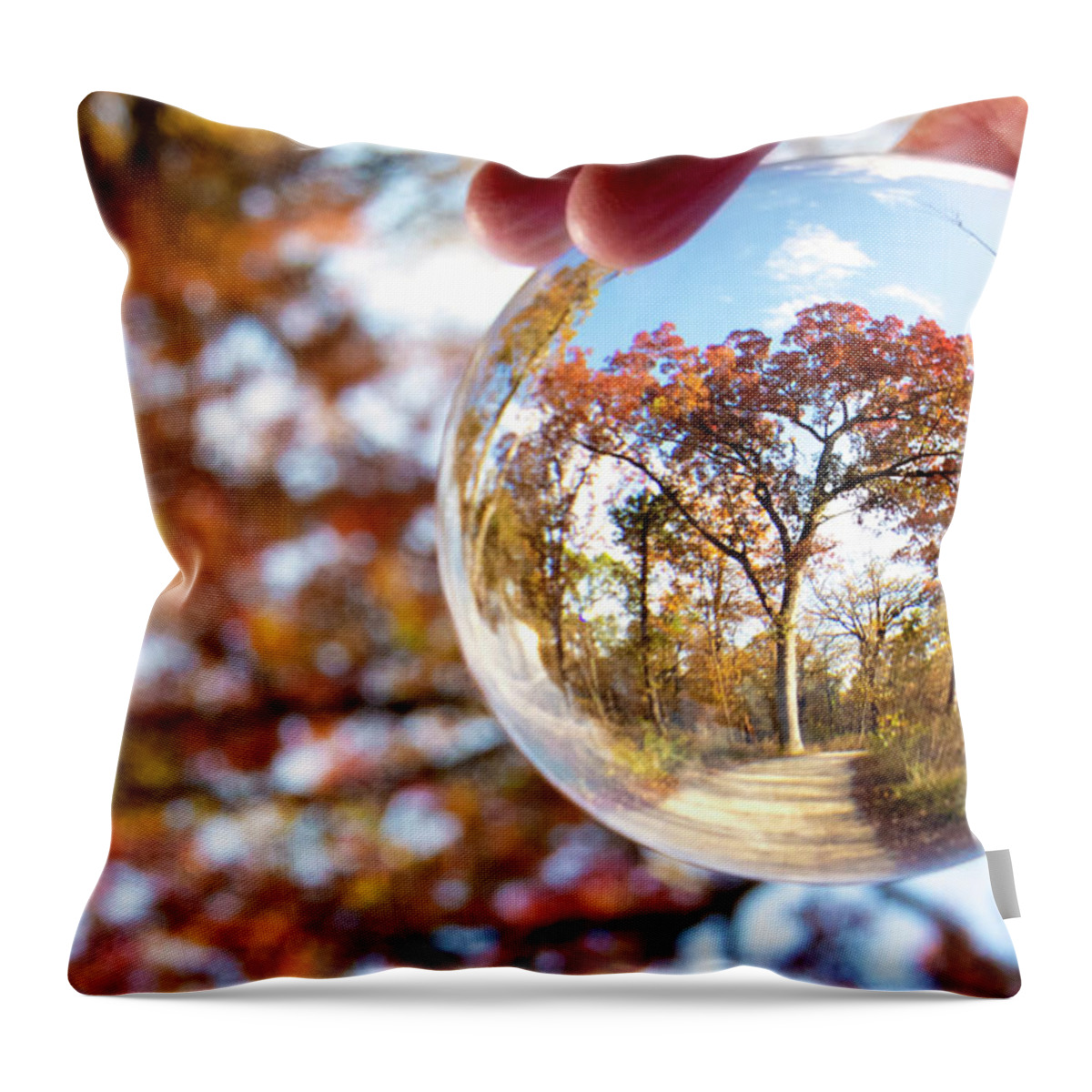 Tree In An Orb Throw Pillow featuring the photograph Tree in an Orb by Patty Colabuono