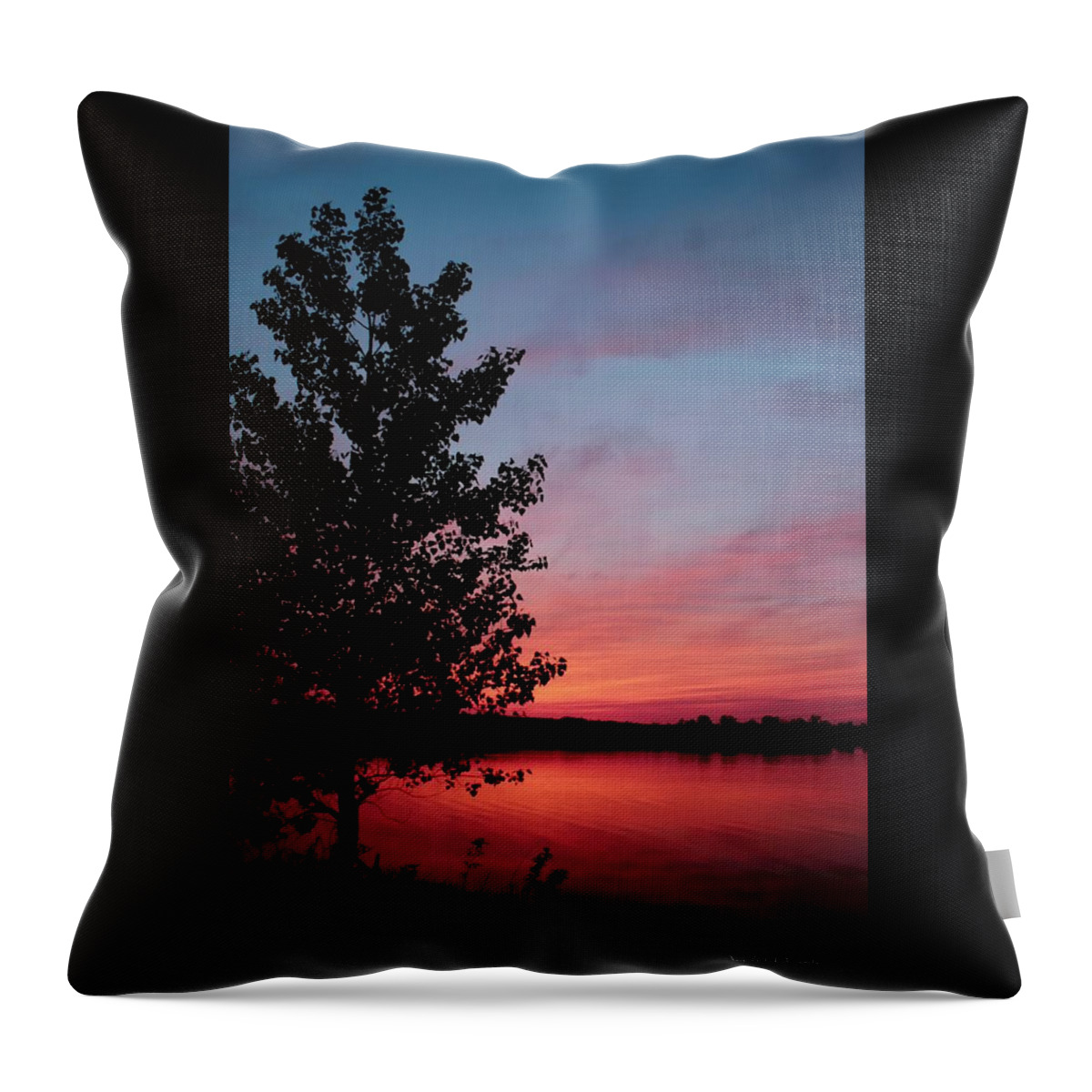 Tree Throw Pillow featuring the photograph Tree in Sunset by Mary Walchuck