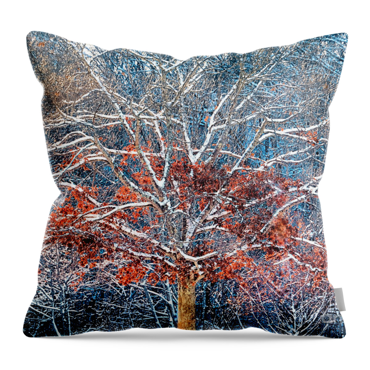 Tree Throw Pillow featuring the photograph Tree of Two Seasons by Janice Drew