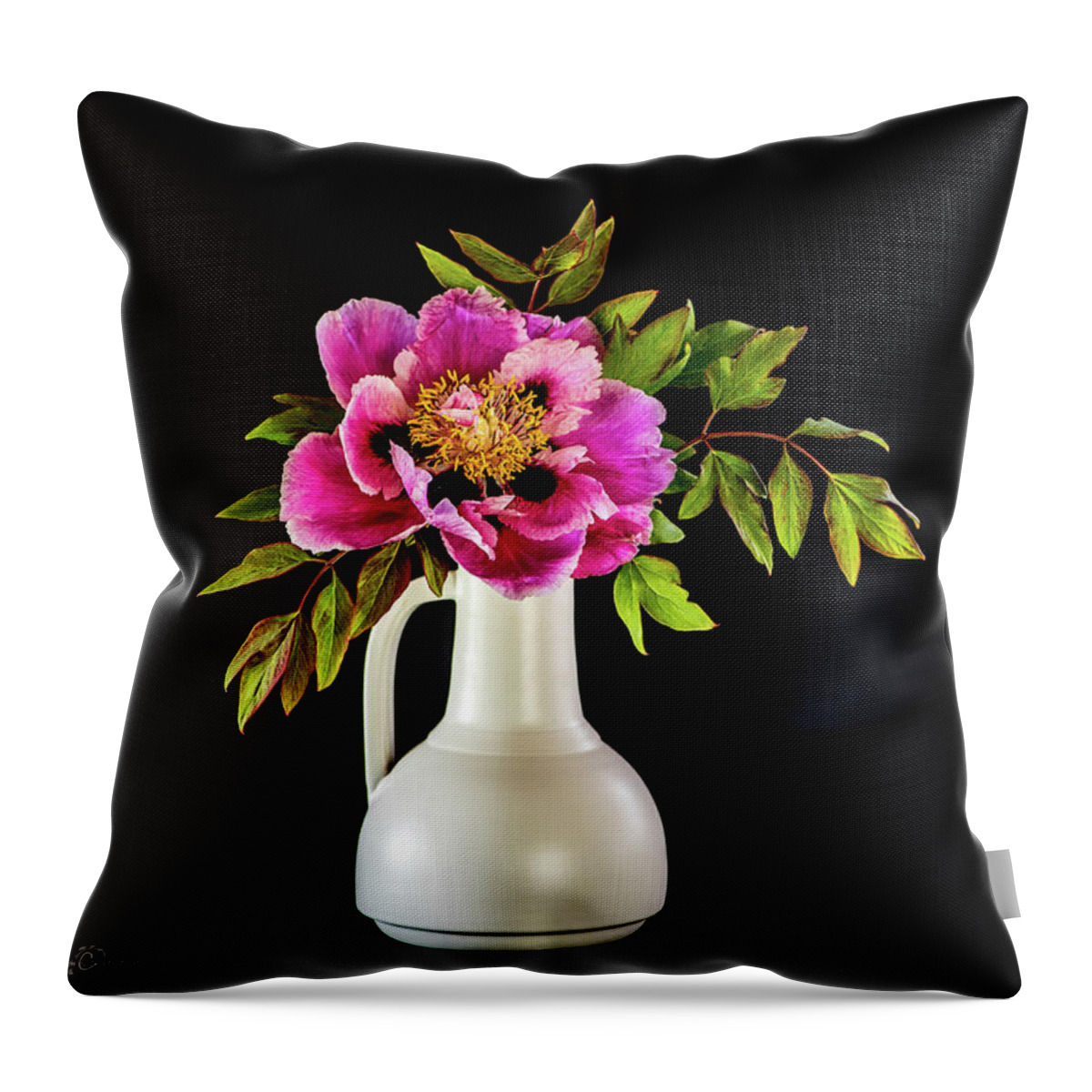 Tree Peony Throw Pillow featuring the photograph Tree peony in full blown Lan He Paeonia suffruticosa rockii i by Torbjorn Swenelius