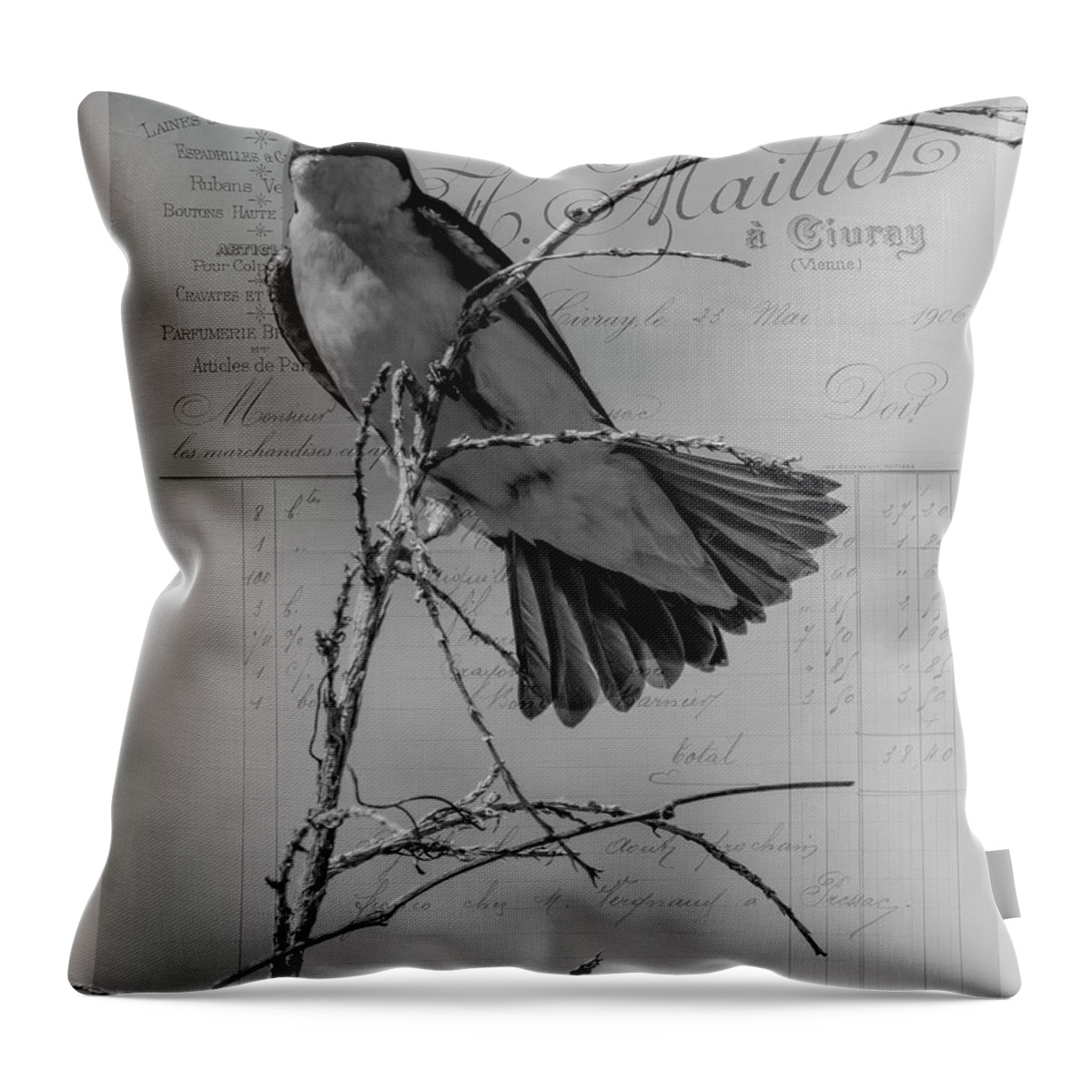 Bird Throw Pillow featuring the photograph Tree Swallow by Cathy Kovarik
