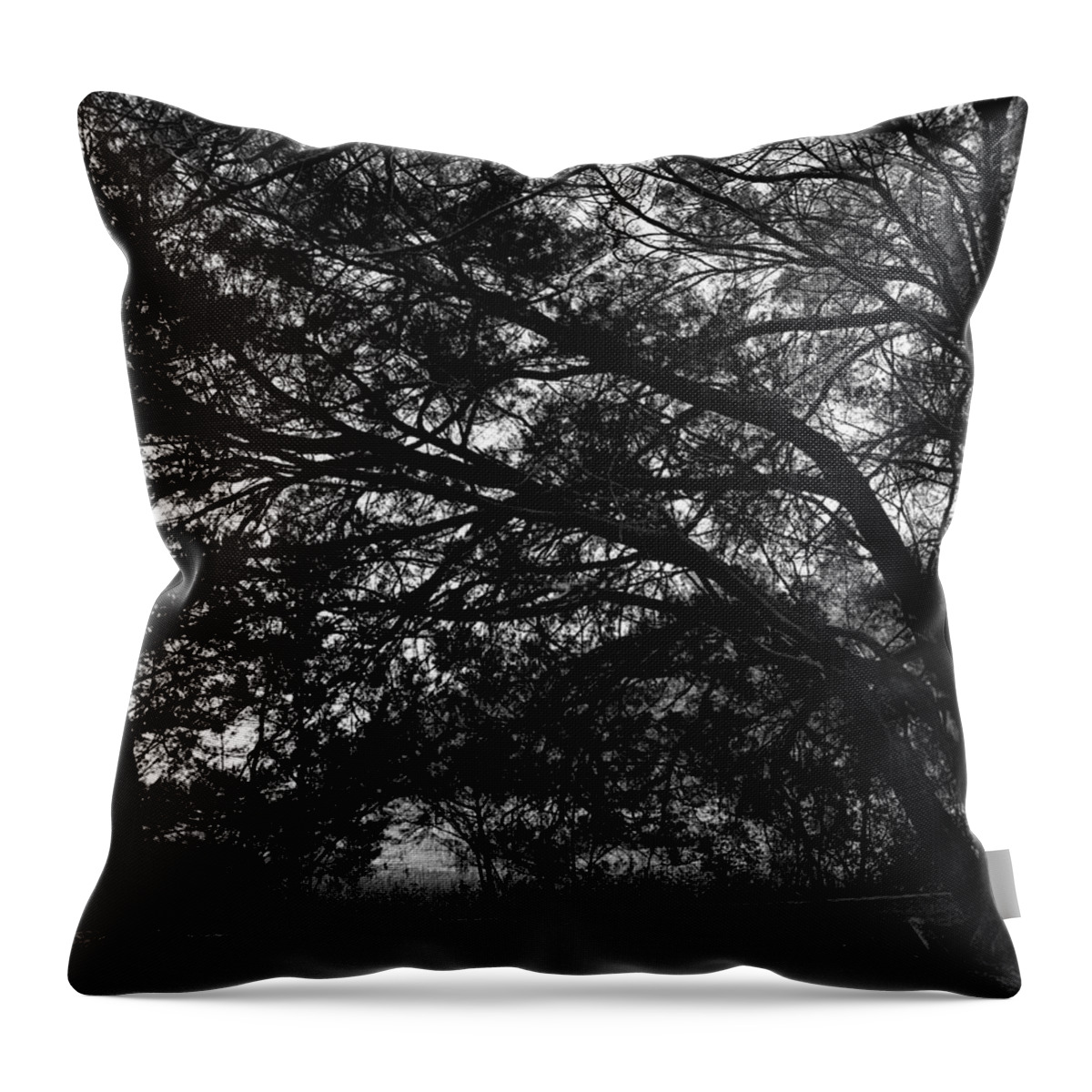 Georgia Throw Pillow featuring the photograph Trees, Hammock, Marshes of Glynn by John Simmons
